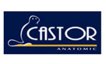 CASTOR